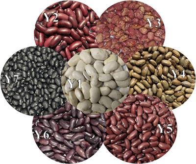 Functional components profile and glycemic index of kidney beans